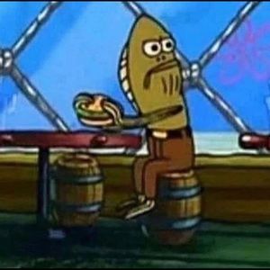 Meet your Posher, Mollie